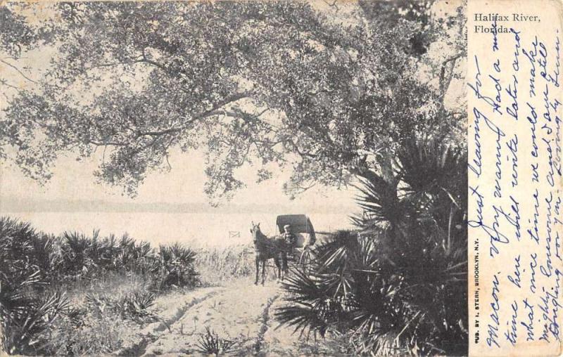 Halifax River Florida Horse Carriage Waterfront Antique Postcard K83182