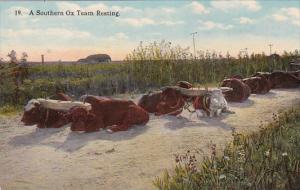 A Southern Ox Team Resting Curteich