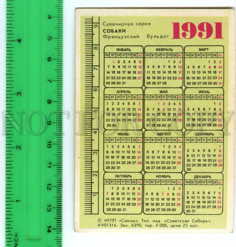 188970 USSR RUSSIA French Bulldog Old CALENDAR 1991 year