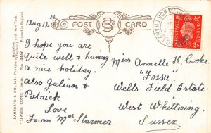 Comic Humor Beach Boy Feeding Extra Special Donkey From Hastings postcard