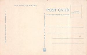 ELMIRA, NY  New York   ELMIRA COLLEGE Library  Chemung County   c1920's Postcard