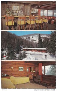 Snowy Owl Motor Lodge, Bar, Inside View, Winter Scene, STE. MARGUERITE STATIO...