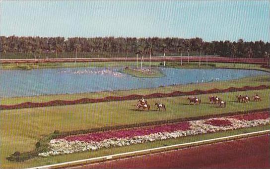 Florida Miami Hialeah Race Course Parading To The Post