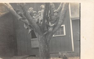 H30/ Castleton Illinois RPPC Postcard c1910 Tree Climbing Kids in Danger Cute