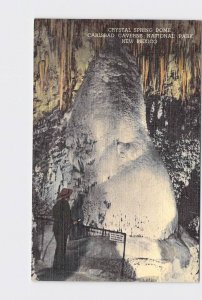 VINTAGE POSTCARD NATIONAL STATE PARK CARLSBAD CAVERNS CRYSTAL SPRING DOME