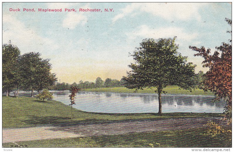 Rochester , New York  ; Duck Pond , Maplewood Park , PU-1910