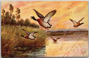 Spanish Tile Mallard Ducks, Flying Birds over Lake, Sunset, Artwork, Postcard