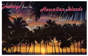 Greetings from Hawaii Sunset through the Palms Postcard