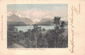 DART FROM PARADISE LAKE WAKATIPU NEW ZEALAND TO NEW YORK POSTCARD EXCHANGE 1903