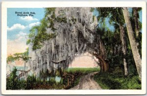 1912 Royal Arch Oak Daytona Florida FL Pathway Along River Posted Postcard