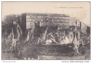 BELFORT.-Le Chateau et le Lion , France , 00-10s