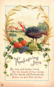 Thanksgiving Greetings With Turkey