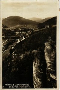 CPA AK Bad Herrenalb- blick vom Falkenstein GERMANY (903050)