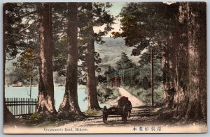 Vtg Hakone Japan Cryptomeria Road Torii Gate Hand Tinted Old Postcard