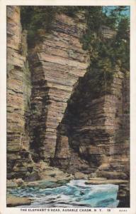 The Elephant's Head Ausable Chasm Adirondack New York