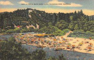 A Typical Beach Scene RUSSIAN RIVER Sonoma County c1940s Linen Vintage Postcard