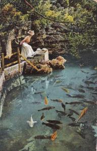 Bermuda The Devils Hole