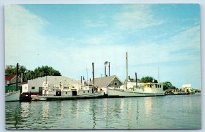 1960 Smith Island Maryland Postcard Harbor Ewell Island Belle Freight Passenger
