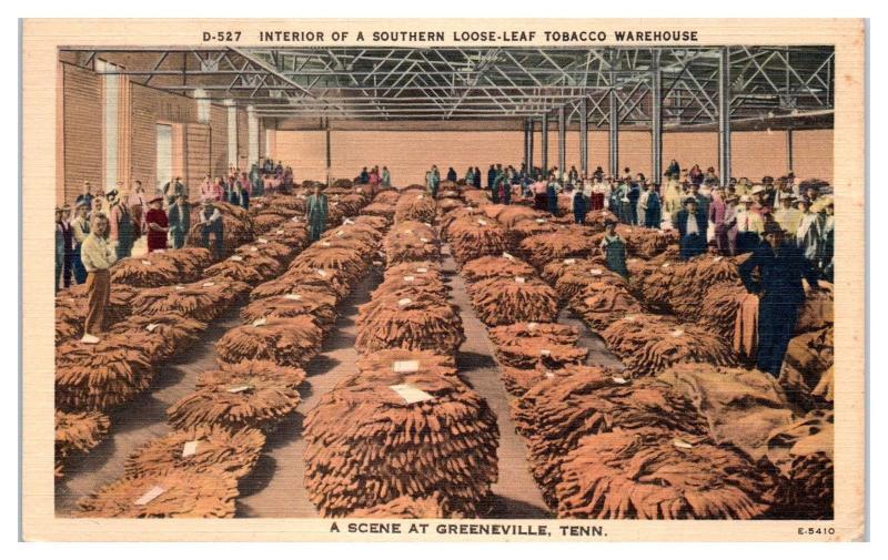 1956 Southern Loose Leaf Tobacco Warehouse, Greenville, TN Postcard