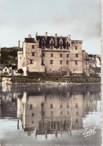 BF13247 chateau de montsoreau la facade dominant la loir france front/back image