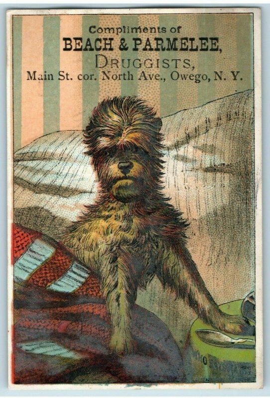 1880's Lovely Lincoln's Drug Store Beach & Parmelee's Victorian Trade Card P141