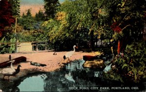 Oregon Portland City Park Duck Pond