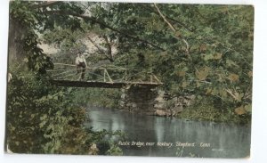 Postcard Rustic Bridge near Roxbury Stamford CT 1908