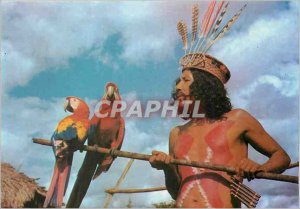 Postcard Modern Brasil Nativo Pepori the great paje