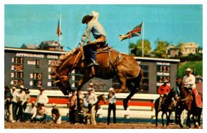 Postcard TOURIST ATTRACTION SCENE Calgary Alberta AB AS0845