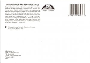 Early Cretaceous Dinosaurs MICROVENATOR & TENONTOSAURUS  4X6 Artist's Postcard