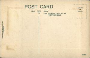 Dunblane Scotland Davidson Thistle Border Series c1910 Postcard #5