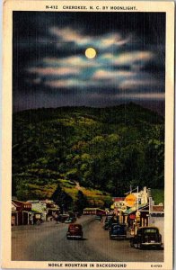 Postcard SHOP SCENE Cherokee North Carolina NC AO5478