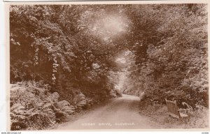 RP, CLOVELLY , Devon, England, UK, 1920-1940s ; Hobby Drive ; TUCK