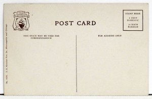 Tropical Lily Pond, Como Park, St. Paul, Minn. postcard