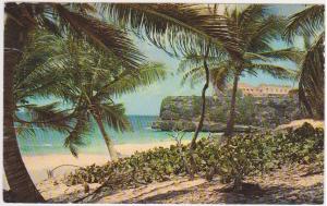 CRANE BEACH WITH CRANE HOTEL, BARBADOS, RCN