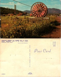 Logging Wheels and Lumber Mill at Flagstaff, AZ (14504