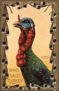 Thanksgiving Plucked Turkey Feather Border Handsome Snood c1910 Postcard