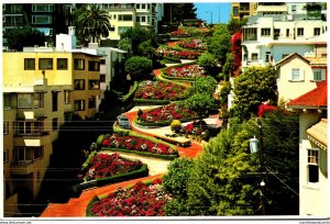 California San Francisco Lombard Street Crookedest Street In The World