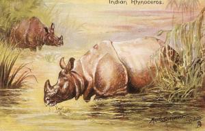 \Indian Rhinoceros, by Maude Scrivener\ Tuck Oilette PC # 