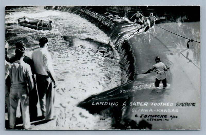 OTTAWA KS LANDING A SABER TOOTHED VINTAGE REAL PHOTO POSTCARD RPPC collage