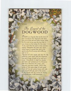 Postcard The Legend of the Dogwood