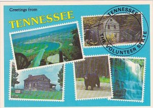 Tennessee Nashville Greetings From Tennessee The Volunteer State