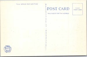 Postcard BOAT SCENE Cape Cod Massachusetts MA AM5707