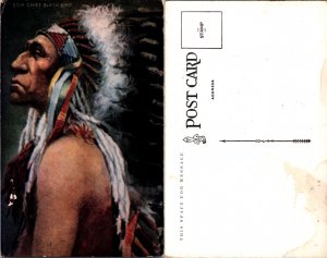 Chief Black Bird (12248)