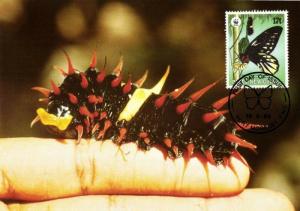 Papua New Guinea, Queen Alexandra's Birdwing Larva Butterfly Postcard (1988)