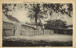 aruba, N.W.I., Tropical Interlude (1940s) Postcard