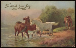 A Day's Spell. 1907 Australian postcard. Signed J.H. Scheltema. Horses at play