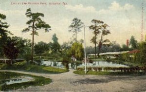 Lake At Sam Houston Park - Texas