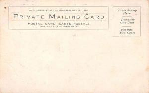 Kirksville Missouri State Normal School private mailing antique pc Y13443