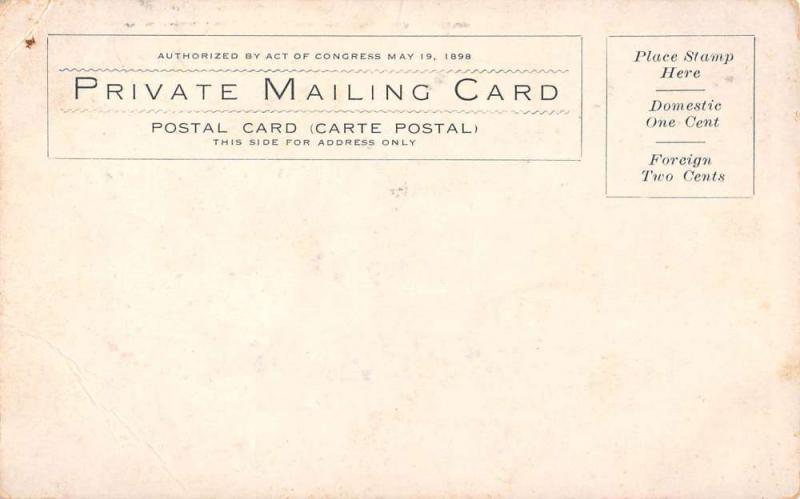 Kirksville Missouri State Normal School private mailing antique pc Y13443